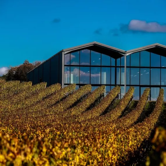 château Lauduc vins et fromages