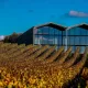 château Lauduc vins et fromages